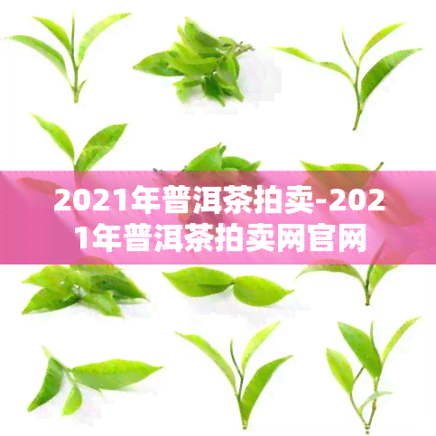 2021年普洱茶拍卖-2021年普洱茶拍卖网官网