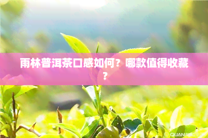 雨林普洱茶口感如何？哪款值得收藏？