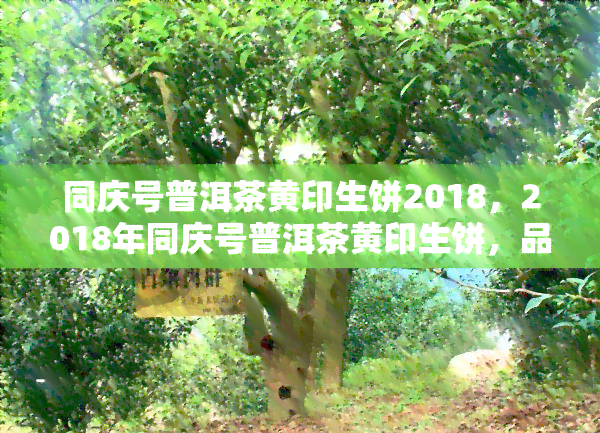 同庆号普洱茶黄印生饼2018，2018年同庆号普洱茶黄印生饼，品味经典与独特的茶香体验