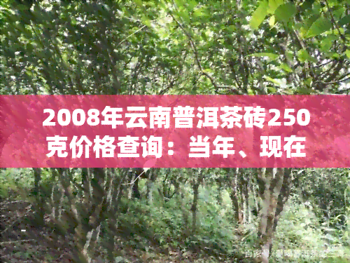 2008年云南普洱茶砖250克价格查询：当年、现在及不同年份的价格对比