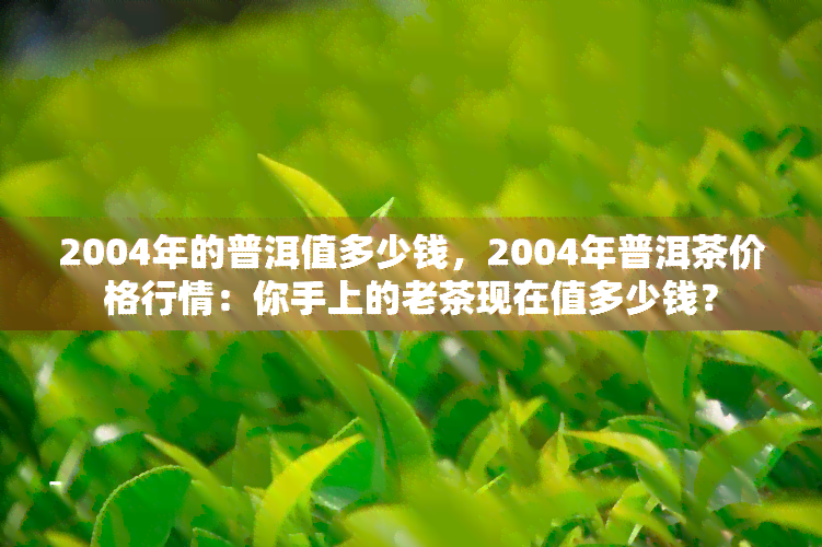 2004年的普洱值多少钱，2004年普洱茶价格行情：你手上的老茶现在值多少钱？