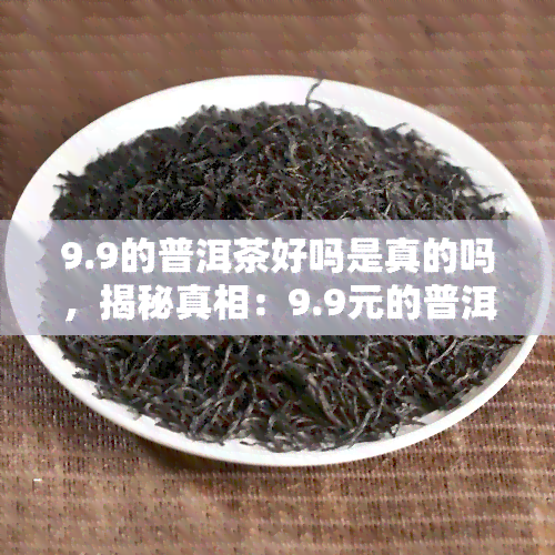 9.9的普洱茶好吗是真的吗，揭秘真相：9.9元的普洱茶是否真的好？