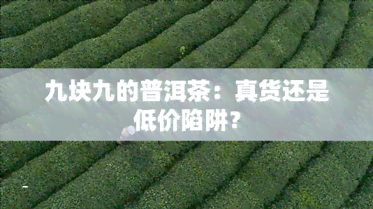 九块九的普洱茶：真货还是低价陷阱？