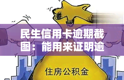 民生信用卡逾期截图：能用来证明逾期情况吗？安全吗？