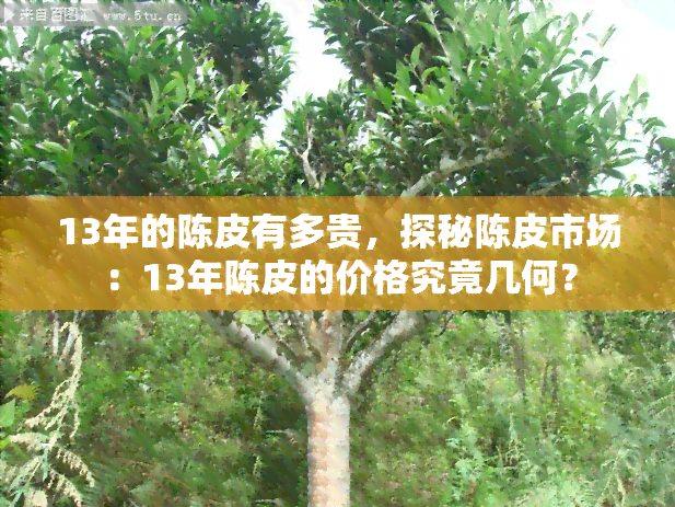 13年的陈皮有多贵，探秘陈皮市场：13年陈皮的价格究竟几何？