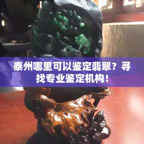 泰州哪里可以鉴定翡翠？寻找专业鉴定机构！