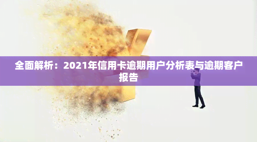 全面解析：2021年信用卡逾期用户分析表与逾期客户报告