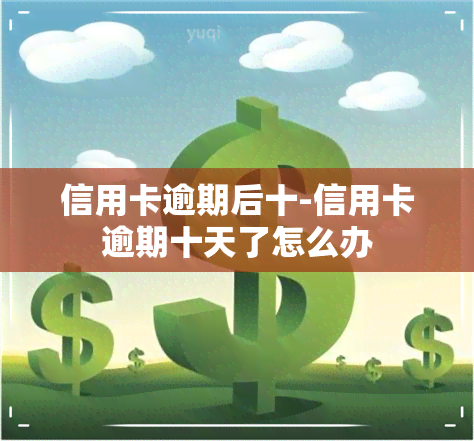 信用卡逾期后十-信用卡逾期十天了怎么办