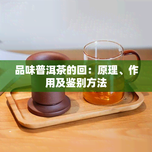 品味普洱茶的回：原理、作用及鉴别方法