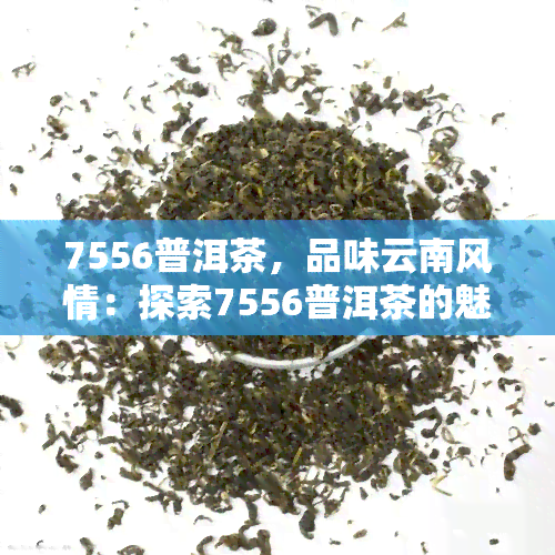 7556普洱茶，品味云南风情：探索7556普洱茶的魅力