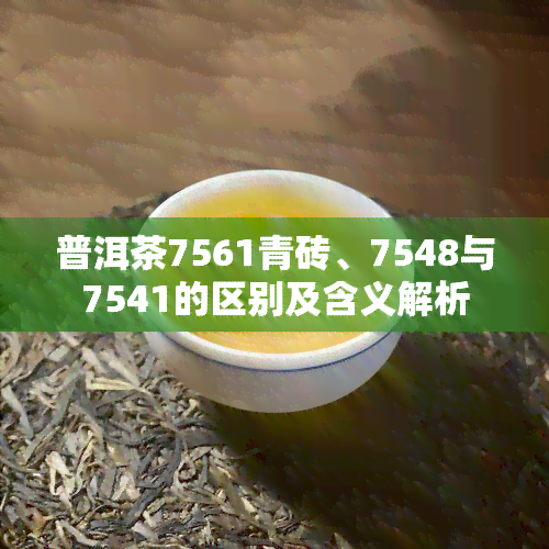 普洱茶7561青砖、7548与7541的区别及含义解析