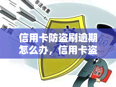 信用卡防盗刷逾期怎么办，信用卡盗刷逾期处理攻略