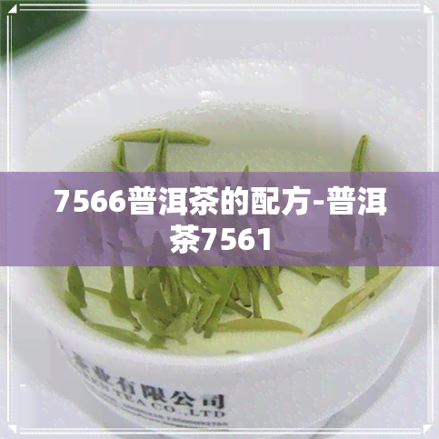 7566普洱茶的配方-普洱茶7561