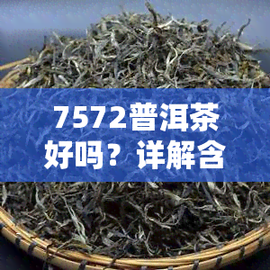 7572普洱茶好吗？详解含义、特点及价格查询