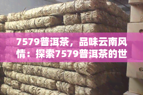 7579普洱茶，品味云南风情：探索7579普洱茶的世界