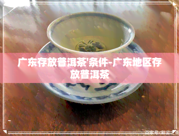 广东存放普洱茶'条件-广东地区存放普洱茶