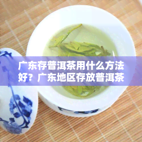 广东存普洱茶用什么方法好？广东地区存放普洱茶技巧分享