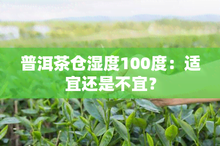 普洱茶仓湿度100度：适宜还是不宜？