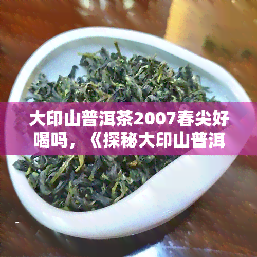 大印山普洱茶2007春尖好喝吗，《探秘大印山普洱茶2007春尖：口感如何，是否值得一试？》