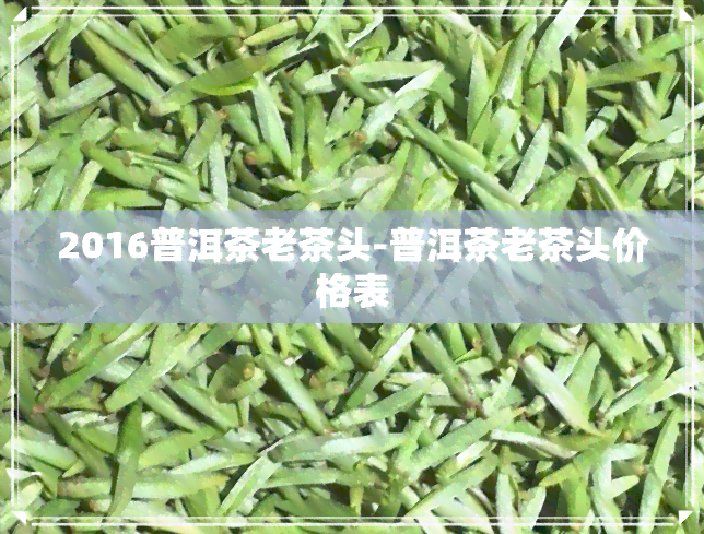 2016普洱茶老茶头-普洱茶老茶头价格表