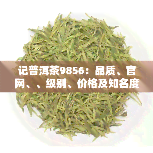 记普洱茶9856：品质、官网、、级别、价格及知名度解析