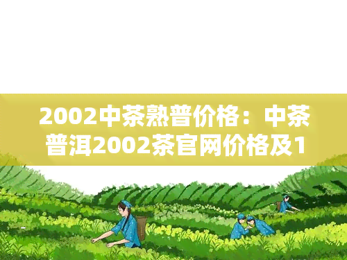 2002中茶熟普价格：中茶普洱2002茶官网价格及100克方茶售价