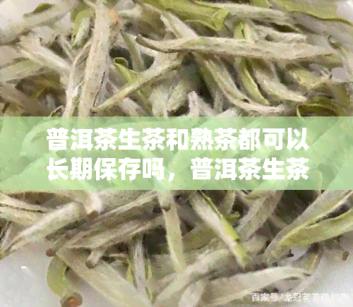 普洱茶生茶和熟茶都可以长期保存吗，普洱茶生茶与熟茶的保存期限：哪个可以长期存？