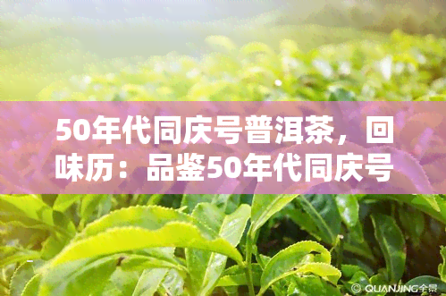 50年代同庆号普洱茶，回味历：品鉴50年代同庆号普洱茶的独特韵味