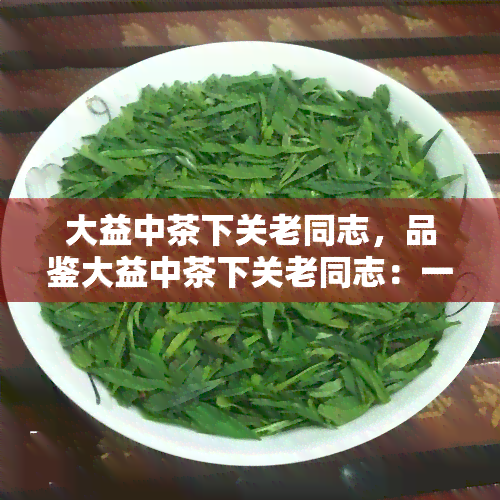 大益中茶下关老同志，品鉴大益中茶下关老同志：一杯韵味无穷的普洱茶