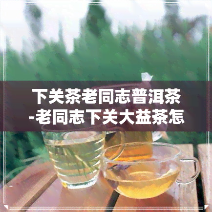 下关茶老同志普洱茶-老同志下关大益茶怎么样