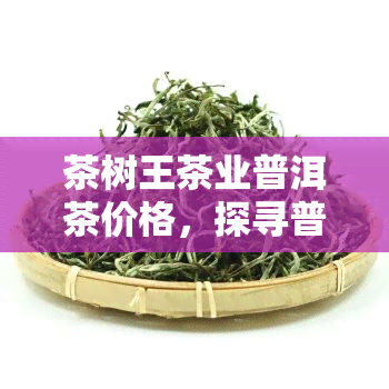 茶树王茶业普洱茶价格，探寻普洱茶之巅：茶树王茶业的价格解析