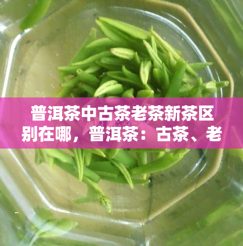 普洱茶中古茶老茶新茶区别在哪，普洱茶：古茶、老茶与新茶的区别在哪里？