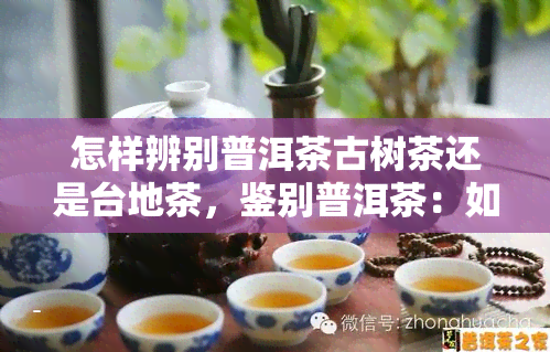 怎样辨别普洱茶古树茶还是台地茶，鉴别普洱茶：如何区分古树茶和台地茶？