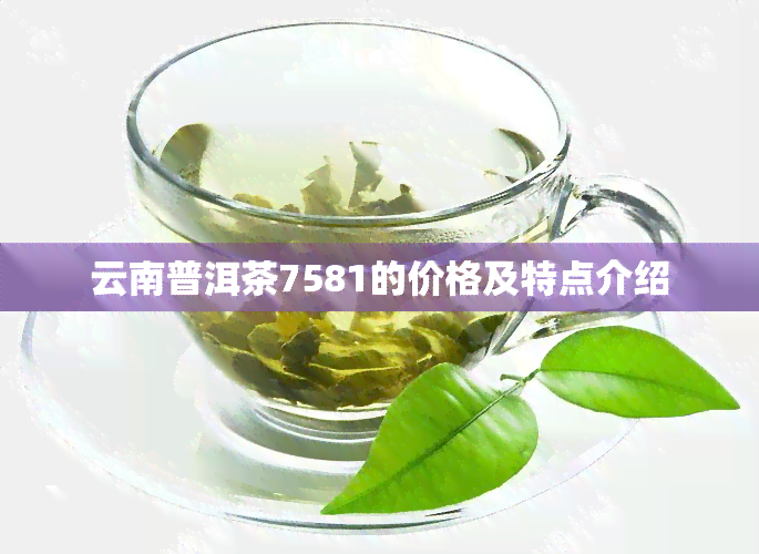 云南普洱茶7581的价格及特点介绍