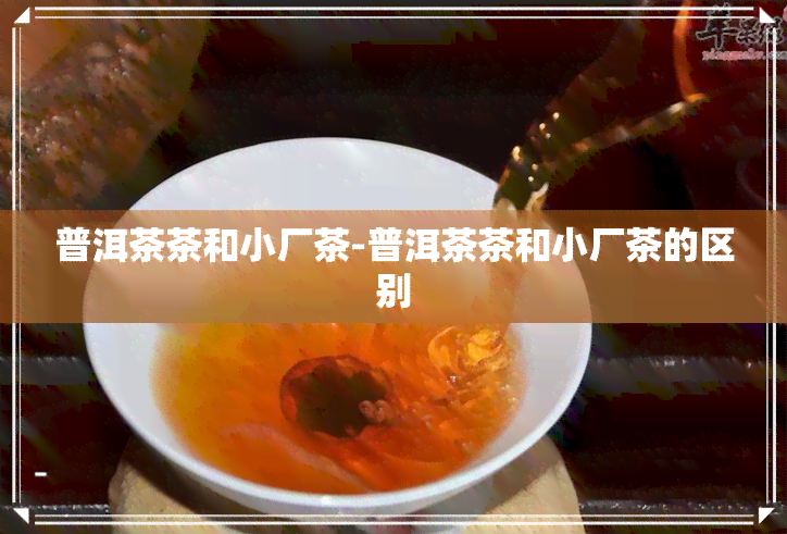 普洱茶茶和小厂茶-普洱茶茶和小厂茶的区别