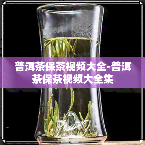 普洱茶保茶视频大全-普洱茶保茶视频大全集