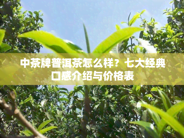 中茶牌普洱茶怎么样？七大经典口感介绍与价格表