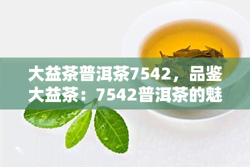 大益茶普洱茶7542，品鉴大益茶：7542普洱茶的魅力与特点