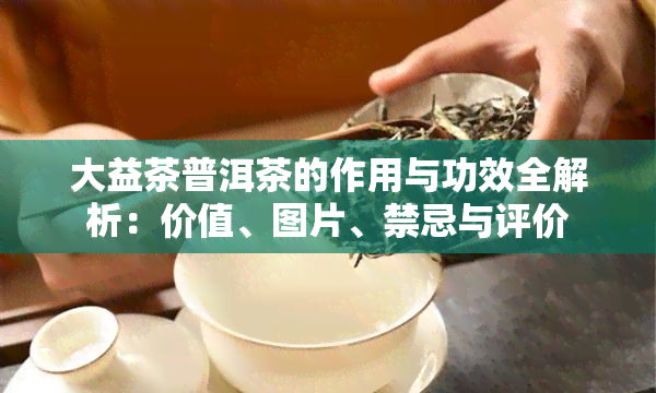 大益茶普洱茶的作用与功效全解析：价值、图片、禁忌与评价