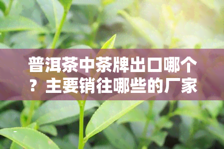 普洱茶中茶牌出口哪个？主要销往哪些的厂家？