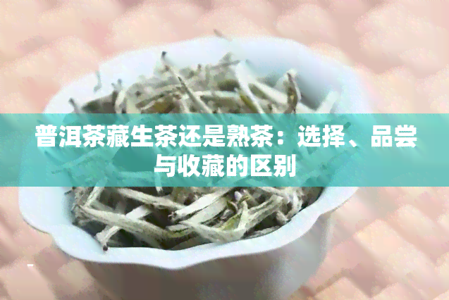 普洱茶藏生茶还是熟茶：选择、品尝与收藏的区别