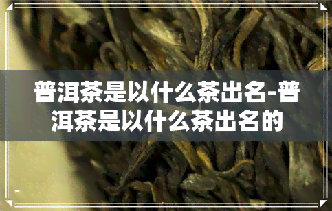 普洱茶是以什么茶出名-普洱茶是以什么茶出名的