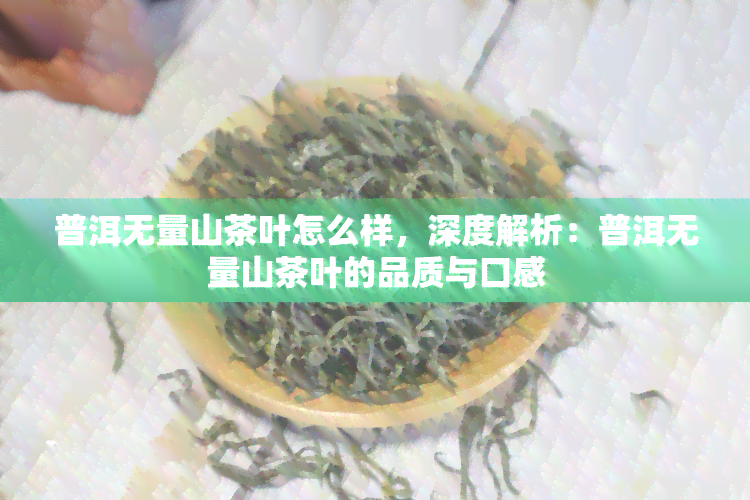 普洱无量山茶叶怎么样，深度解析：普洱无量山茶叶的品质与口感