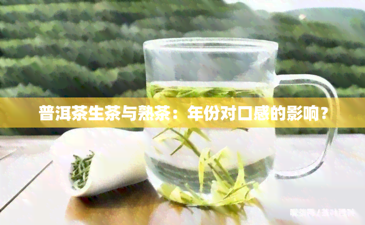 普洱茶生茶与熟茶：年份对口感的影响？