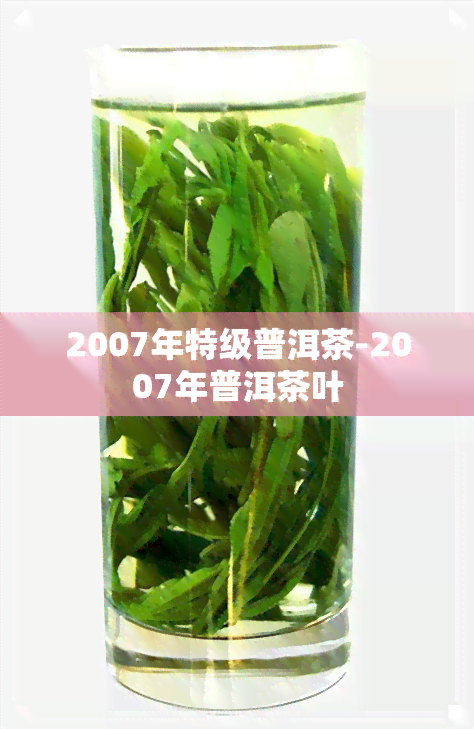 2007年特级普洱茶-2007年普洱茶叶