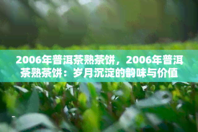 2006年普洱茶熟茶饼，2006年普洱茶熟茶饼：岁月沉淀的韵味与价值