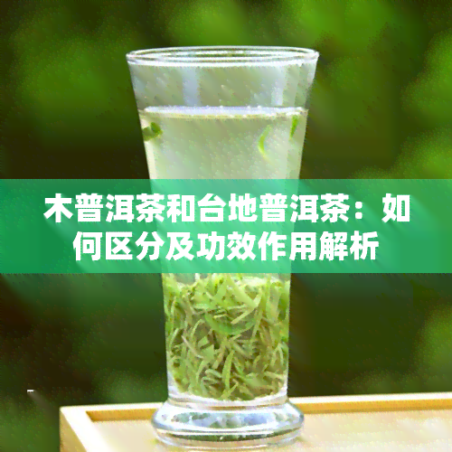 木普洱茶和台地普洱茶：如何区分及功效作用解析