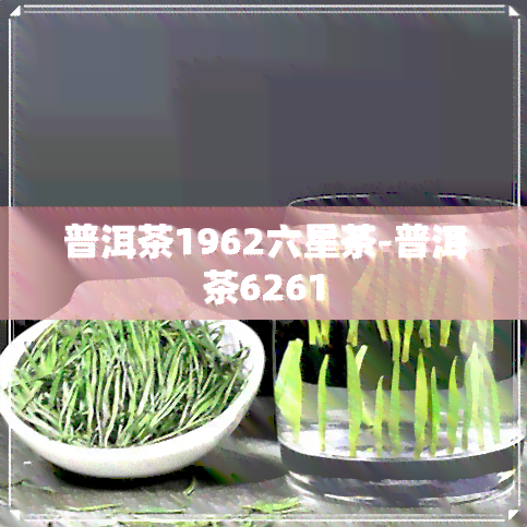 普洱茶1962六星茶-普洱茶6261