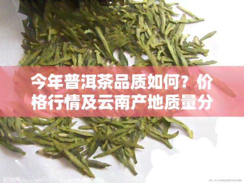 今年普洱茶品质如何？价格行情及云南产地质量分析