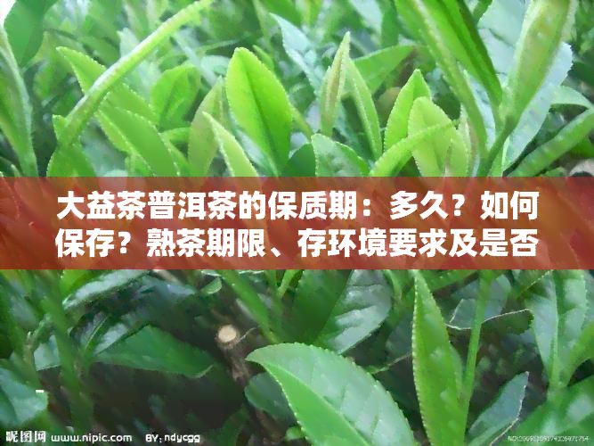 大益茶普洱茶的保质期：多久？如何保存？熟茶期限、存环境要求及是否会过期解析